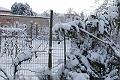 002 nevicata